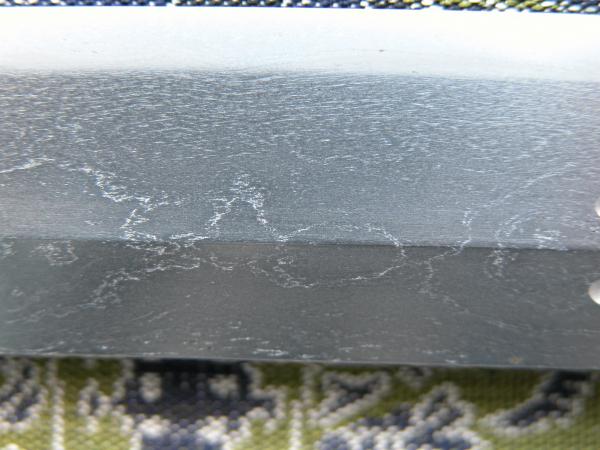 DSCN4919.JPG